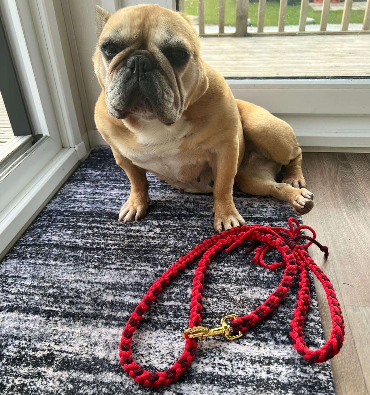 Make Your Own Dog Lead Craft Kit - Valentine's Day Heart Pattern