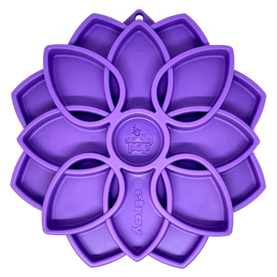 Purple Plastic pet Slow Feeder with Sodapup branding on a white background