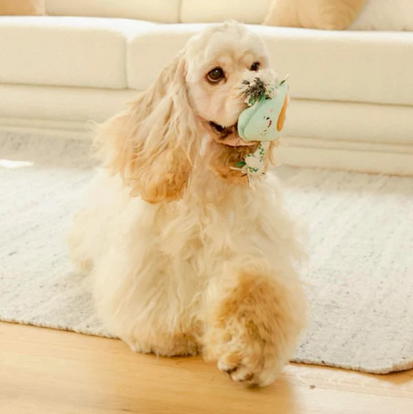 Stuffing-free dog toy made with recycled cotton rope