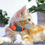 KITTYRAMA KITTEN TANGERINE COLLAR - Soft, Lightweight, Quick Release Breakaway