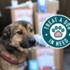 Fish Skin Cubes Value Pack - Dog Treats