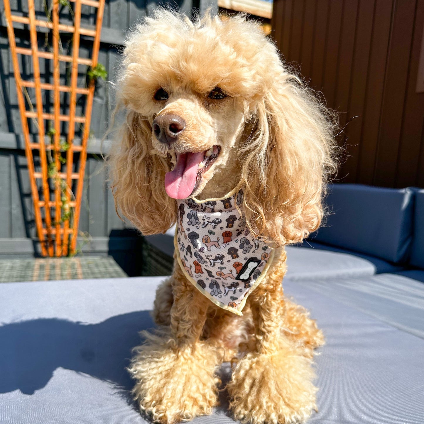 Pup Chic - Dog Cooling Bandana -  Oodles of Poodles