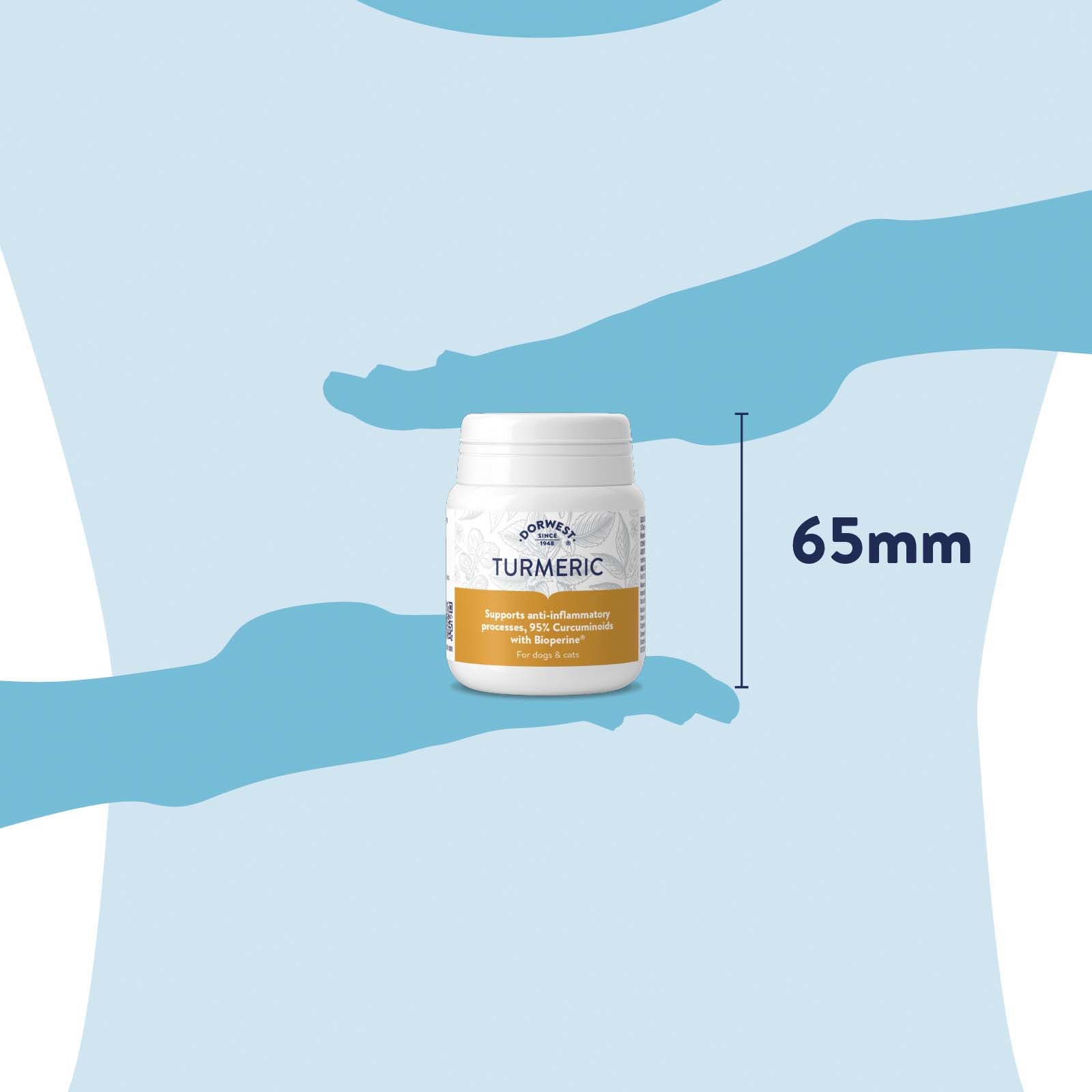 Bottle of turmeric supplement with a measurement of 65mm against a blue background
