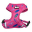 Pup Chic - Peacock Power Range - Harnesses, Leads, Etc