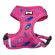 Hot pink Peacock Power adjustable dog harness with peacock feather print – stylish and comfortable fit for all dog sizes