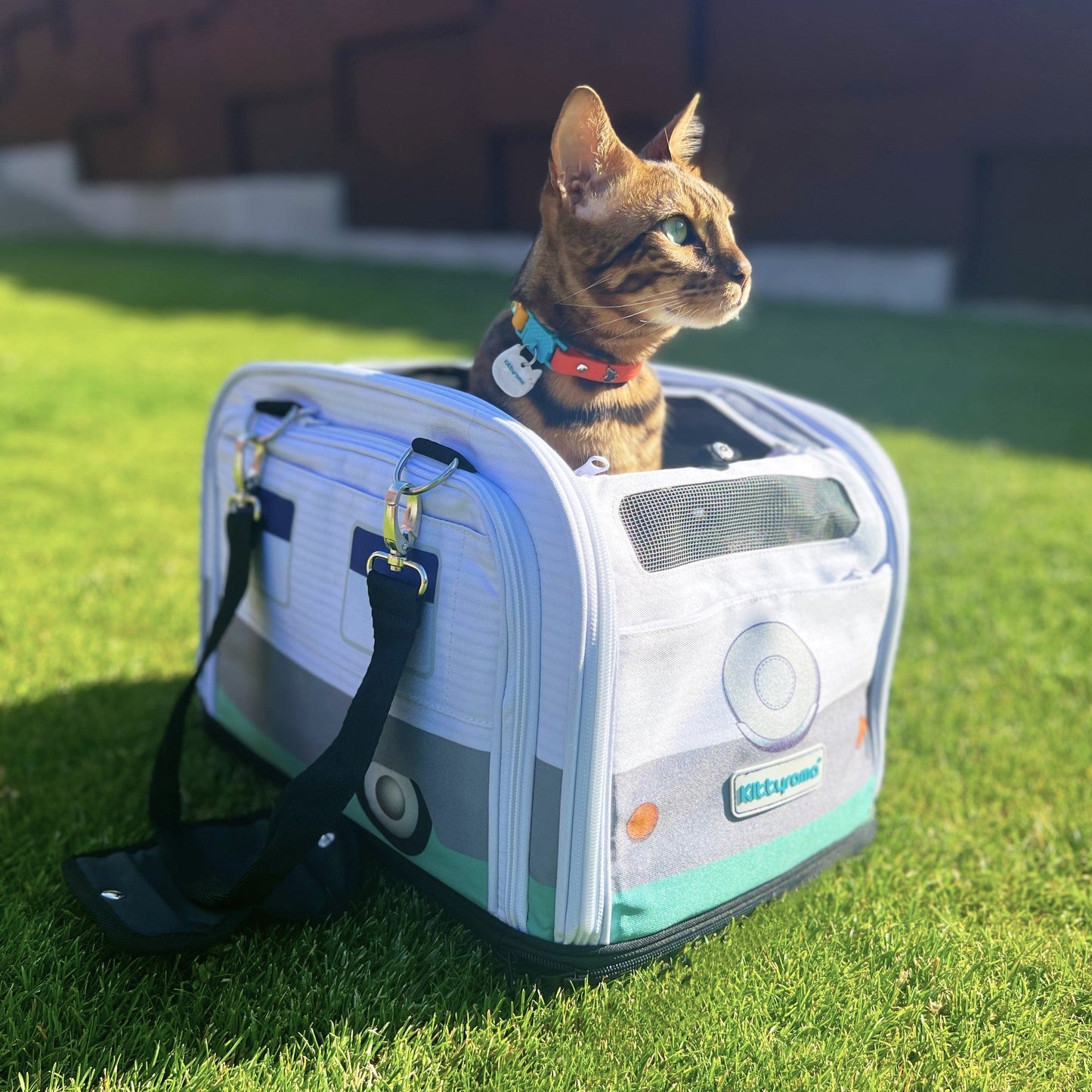 THE SLATE CRUISER - KITTYRAMA CAT CARRIER & HIDEAWAY