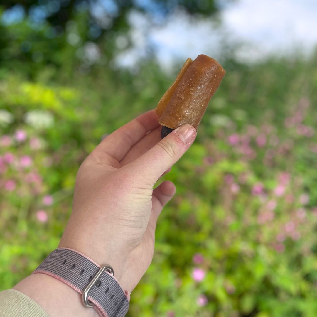 Pigs in Blankets – Natural Dog Chew Treats