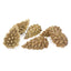 Boredom Breaker Veggie Burst – Pinecones