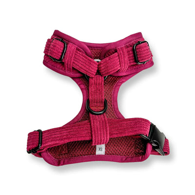 Pup Chic - Plumcious Corduroy Range- Harnesses, Leads, Etc