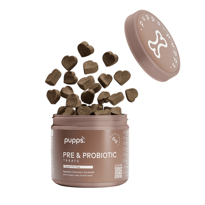 Pre & Probiotic Treats