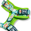 Pup Chic - Prehistoric Pup Range- Harnesses, Leads, Etc
