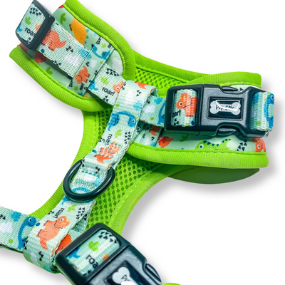 Pup Chic - Prehistoric Pup Range- Harnesses, Leads, Etc