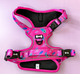 Pup chic Boutique Peacock Power Dog harness on a pastel background. Harness is a fuschia pink with blue peacock Feather Deasign. 