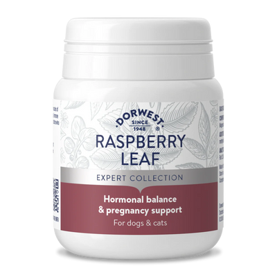 Dorwest Raspberry Leaf Tablets for Dogs & Cats – Hormonal Balance & Whelping Support