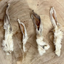 Four natural hairy rabbit ears dog treats laid out on a wooden surface, showcasing texture and size variation of this 100% rabbit chew