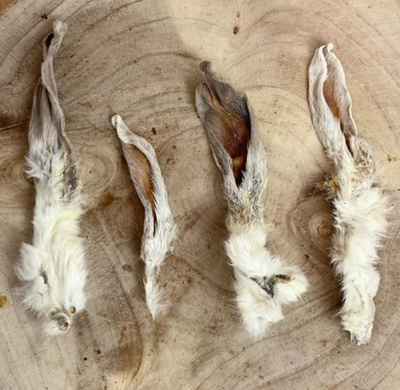 Four natural hairy rabbit ears dog treats laid out on a wooden surface, showcasing texture and size variation of this 100% rabbit chew