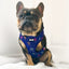 Pup Chic Zodiac Zoomies Adjustable Dog Harness