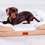 Washable Orthopaedic Dog Sofa Bed - Medium