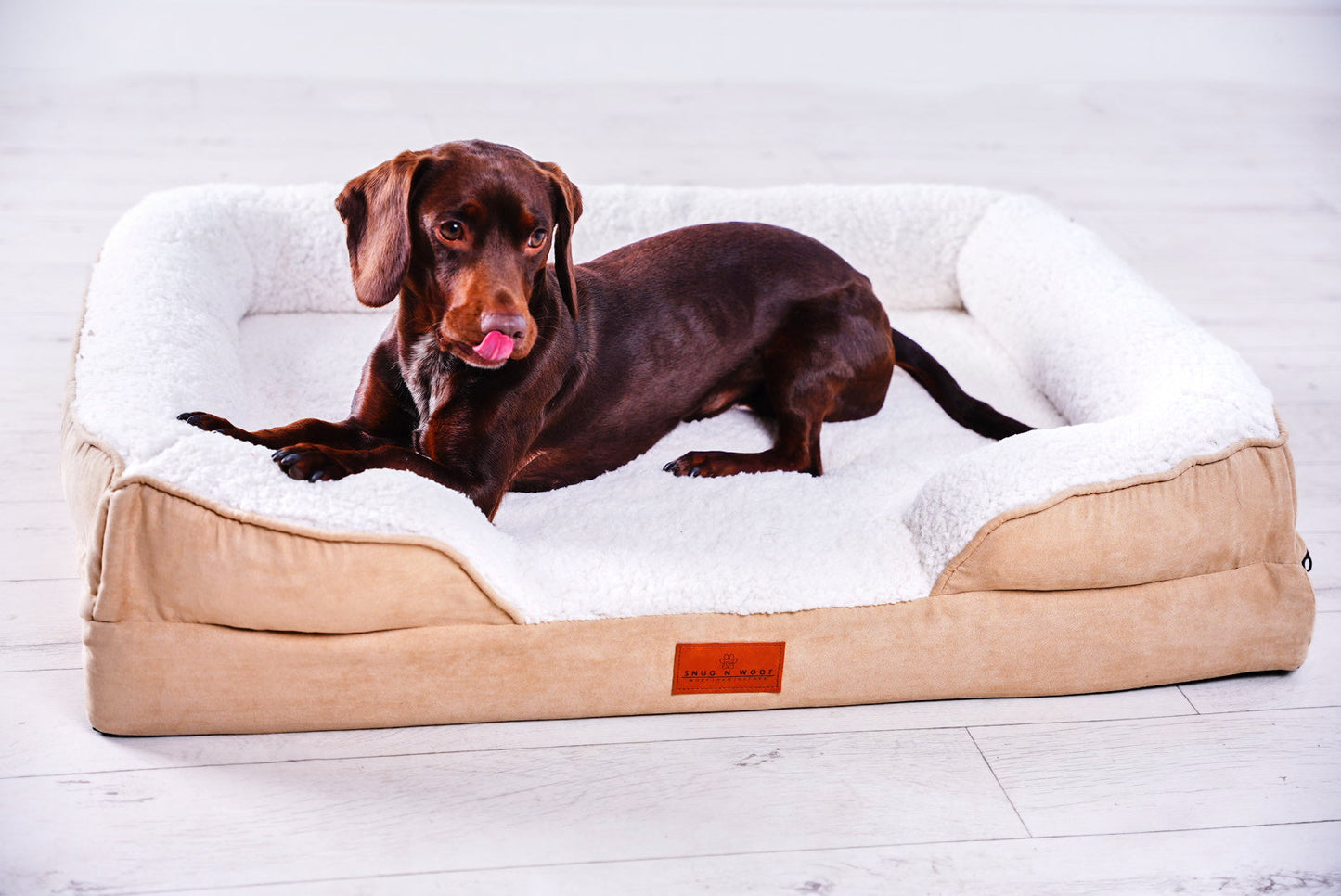 Washable Orthopaedic Dog Sofa Bed - Medium