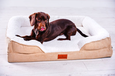 Washable Orthopaedic Dog Sofa Bed - Medium