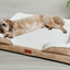 Washable Orthopaedic Dog Sofa Bed - XL
