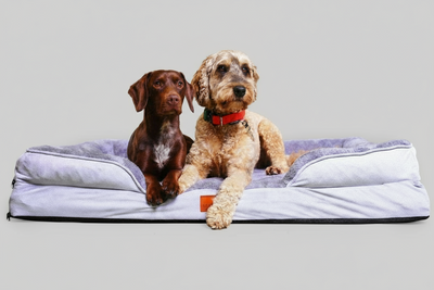 Washable Orthopaedic Dog Sofa Bed - XL