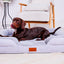 Washable Orthopaedic Dog Sofa Bed - Medium