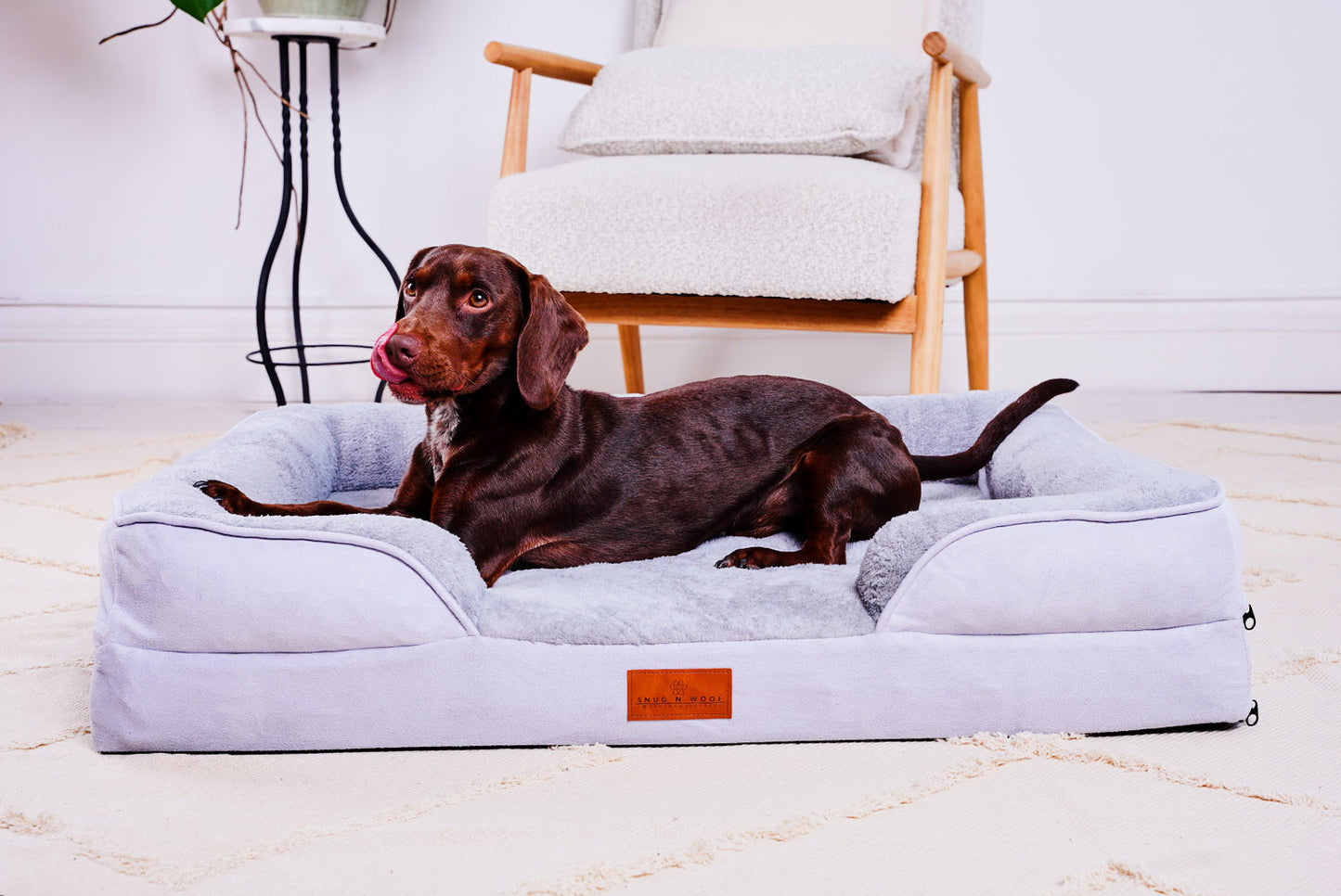 Washable Orthopaedic Dog Sofa Bed - Medium
