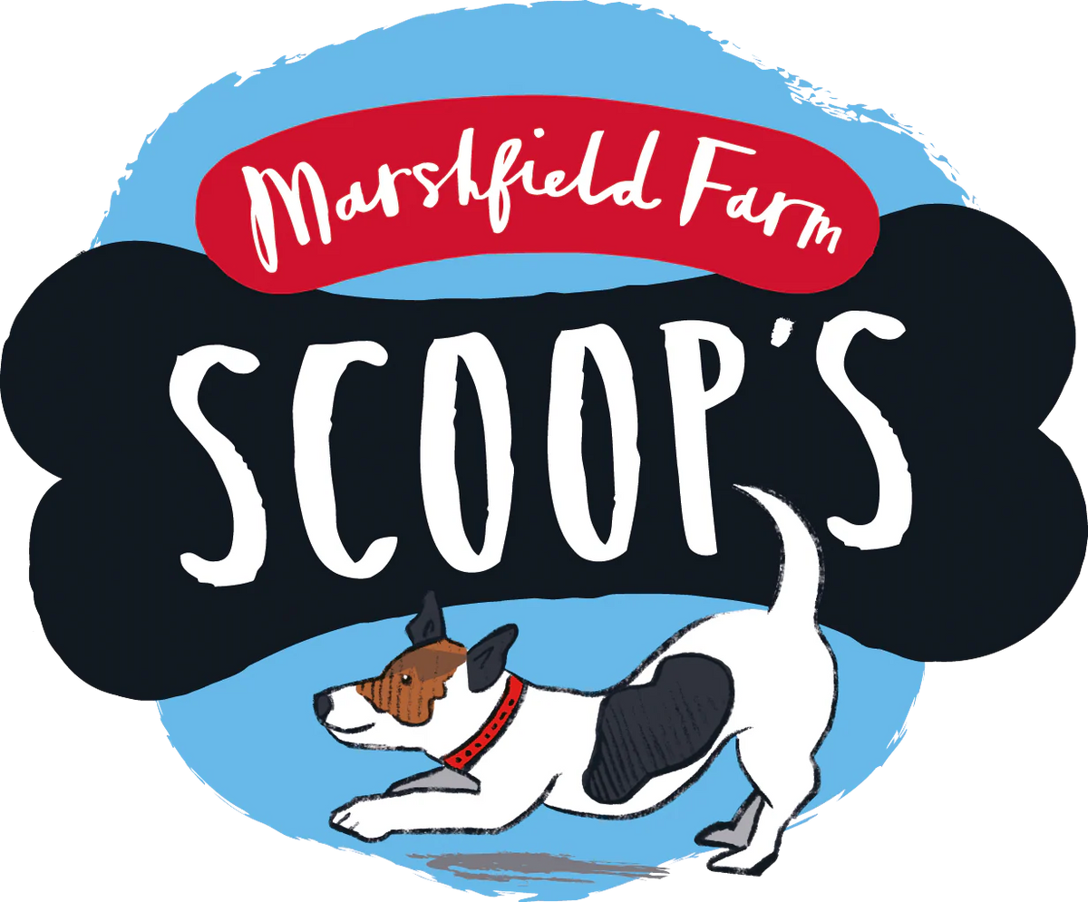 Scoops Ice Cream.
