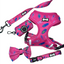Pup Chic - Peacock Power Range - Harnesses, Leads, Etc