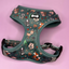 Pup Chic - Autumn Wonderland - Harnesses, Leads, Collars Etc
