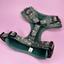 Pup Chic - Autumn Wonderland - Harnesses, Leads, Collars Etc