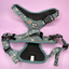 Pup Chic - Autumn Wonderland - Harnesses, Leads, Collars Etc