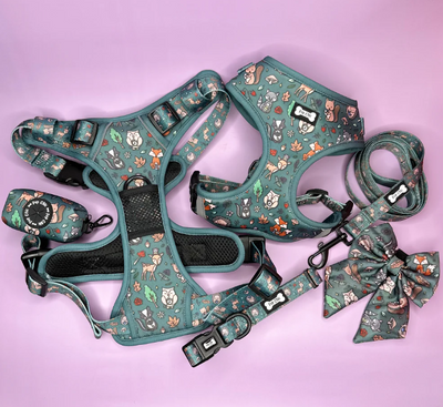 Pup Chic - Autumn Wonderland - Harnesses, Leads, Collars Etc