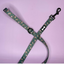 Pup Chic - Autumn Wonderland - Harnesses, Leads, Collars Etc