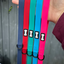Pup Chic -Adjustable  PVC lead - 3ft to 5ft dog lead
