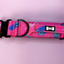 Pup Chic - Peacock Power Range - Harnesses, Leads, Etc