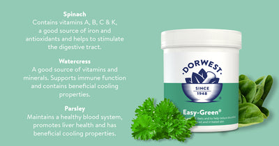 Dorwest Easy-Green® Powder For Dogs And Cats 250g