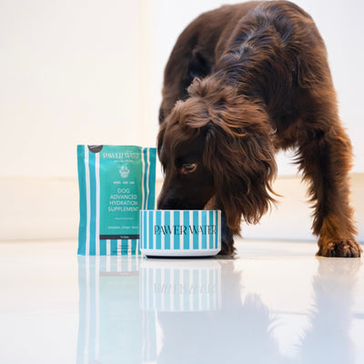 Pawer Water Joint Support (12 sticks Pouch)