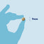 Close-up of 9mm size Dorwest Milk Thistle Tablet in hand