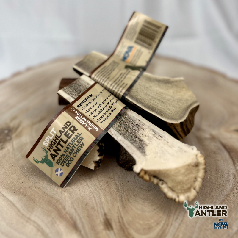 Split Antler Natural Dog Chew