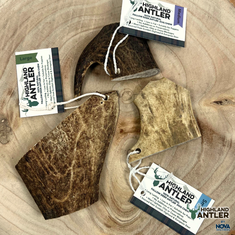 Fallow Antler Natural Dog Chew - Large