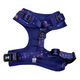 Pup Chic Zodiac Zoomies Adjustable Dog Harness.