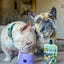 Fillable Dog Toy - Lilac | Meaty Licks by Apex Pet Products | Stuffable Treat Dispensing Toy