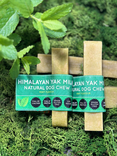 Mint Yak Dog Chew
