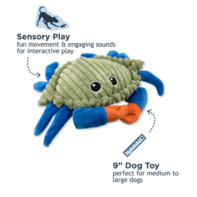 Interactive squeeze activated crab dog toy for medium and large dogs