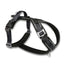 Twiggy Tags Apex® Dog Harness | Lightweight Summer Dog Harness