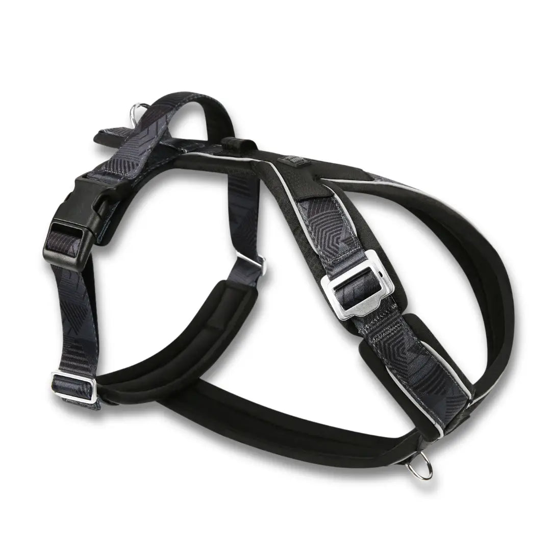 Twiggy Tags Apex® Dog Harness | Lightweight Summer Dog Harness