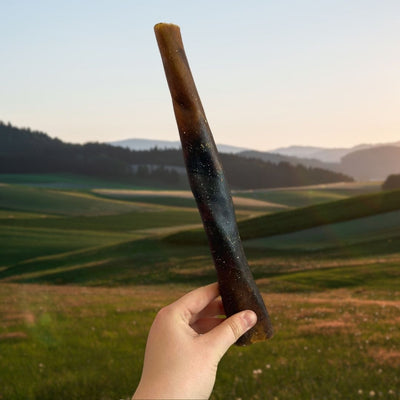 Large camel skin dog chew novel protein