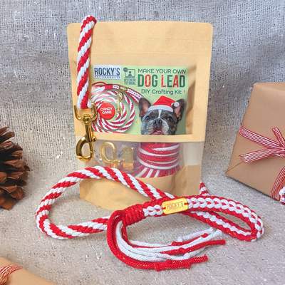 Make Your Own Dog Lead Craft Kit - Candy Cane Sparkle